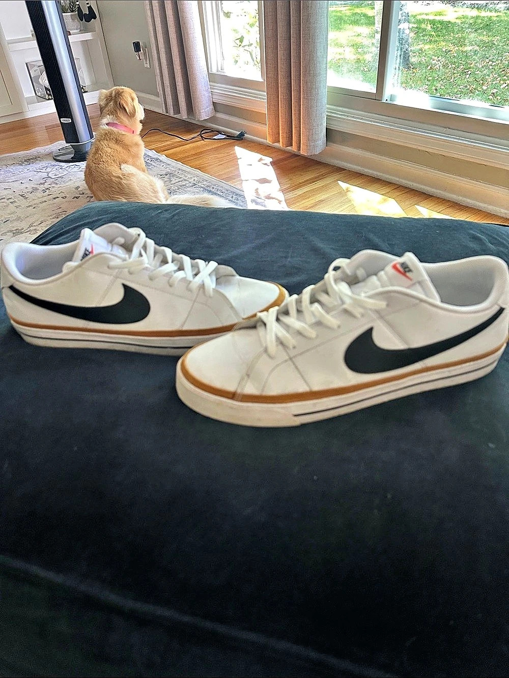 Nike Court Legacy Sneaker - Men's Size 13